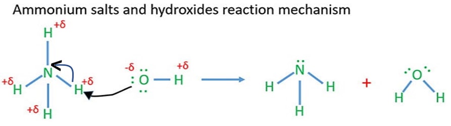 Ammonium salts and hydroxides reaction mechanism
